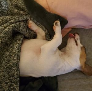 Meet your Posher, Jack